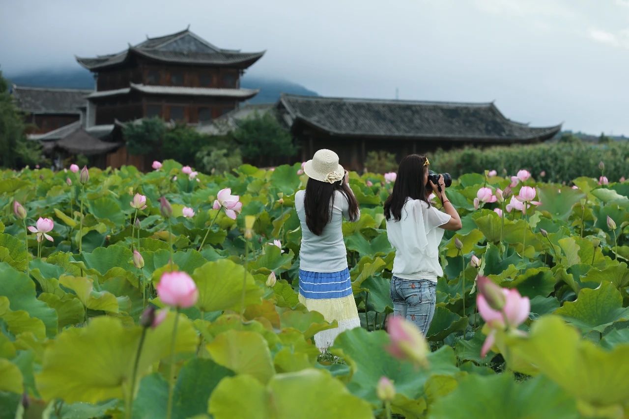 2020暑期?騰沖研學(xué)：打卡邊境小城，與自然對(duì)話！