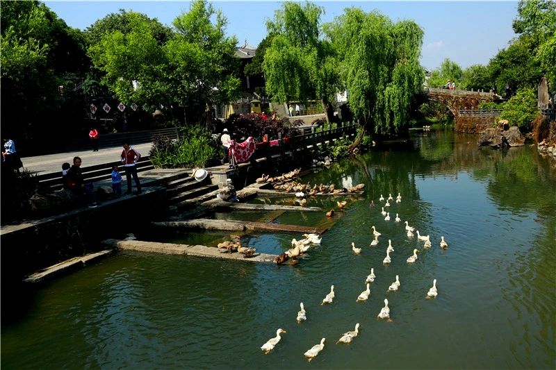 研學商業(yè)模式或?qū)⒕拮?！北京鼓勵社會力量參與博物館社教活動開發(fā)和實施