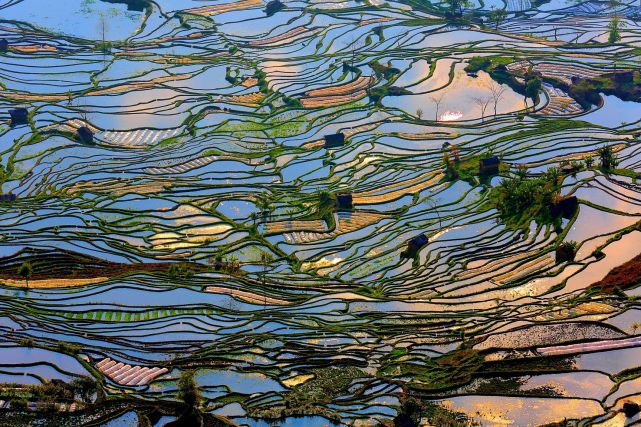 暑假想去云南旅游，有哪些旅游城市可以推薦