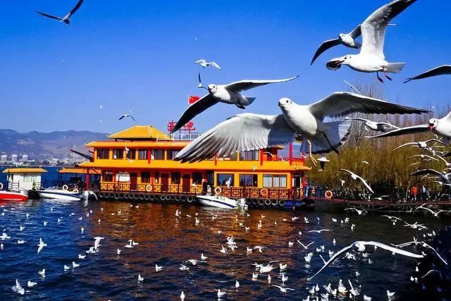 云南品質游旅行社推薦，云南旅游選擇品質旅游有什么優(yōu)點