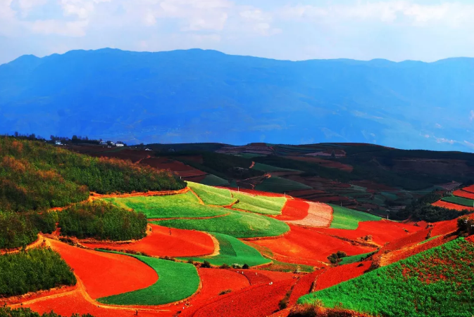 云南東川紅土地的最佳旅游時間是什么時候？