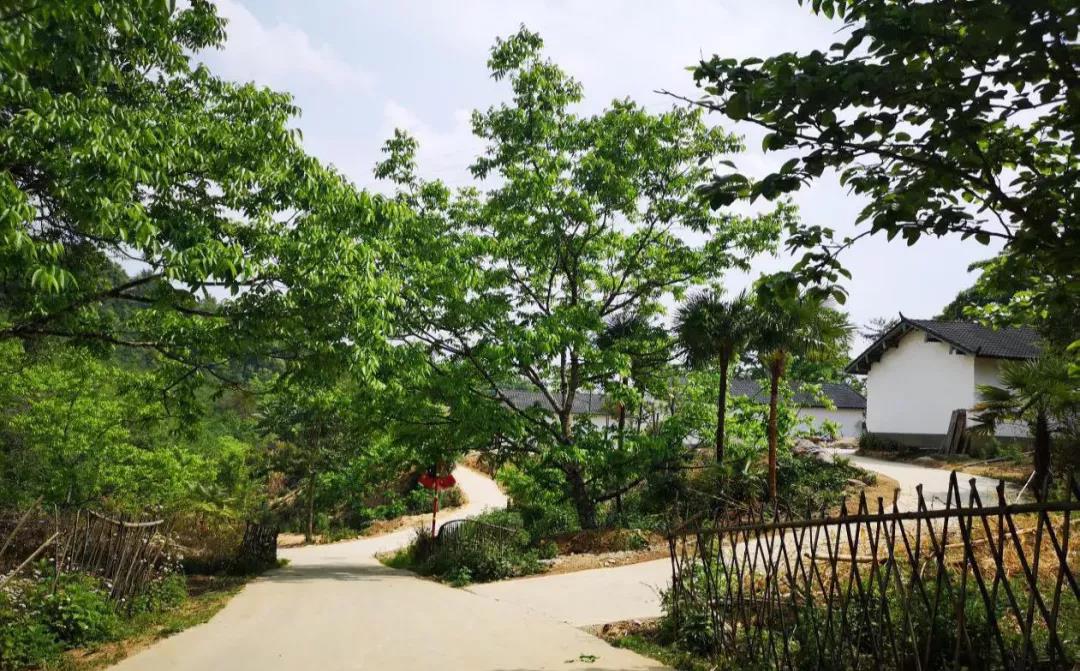 云南鄉(xiāng)村旅游，“玩”出特色！德宏：打好發(fā)展組合拳