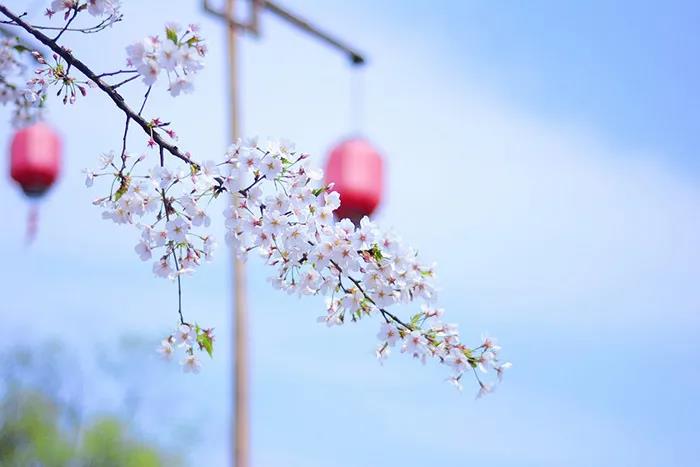 旅游景區(qū)如何良性循環(huán)應(yīng)對(duì)市場(chǎng)變化？