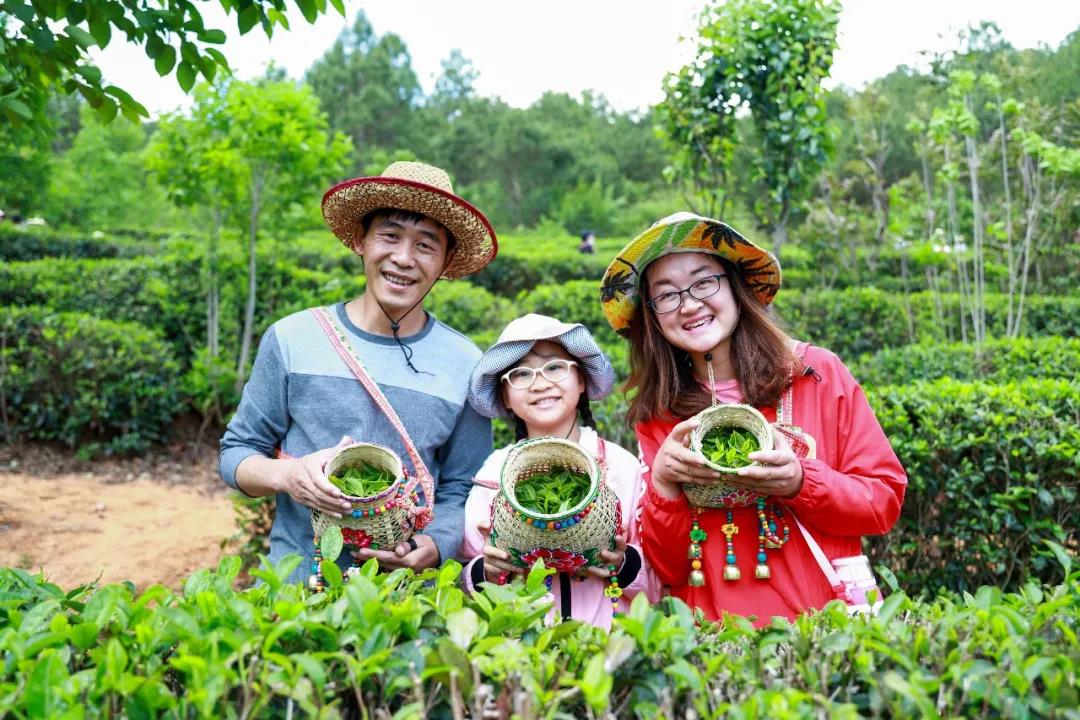 什么顏色最夏天？ 當(dāng)然是郁郁蔥蔥的綠色，周末帶著孩子體驗(yàn)最盎然的綠意