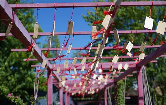 賞花親水、荷塘野趣……楚雄東華濕地公園許你一個繽紛夏日