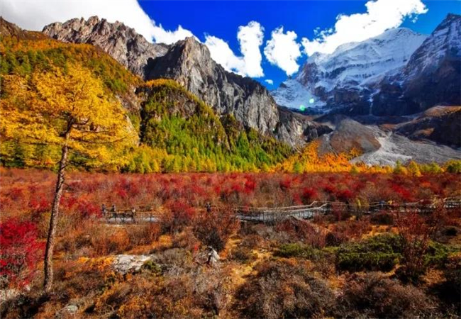 云南旅游攻略稻城亞丁的秋天， 美到炸裂了?。。? /></a>
                            </div>
                            <div   id=
