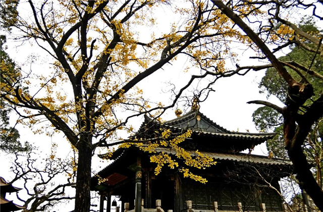云南傳媒公司：在云南，聽說古鎮(zhèn)和秋天更配