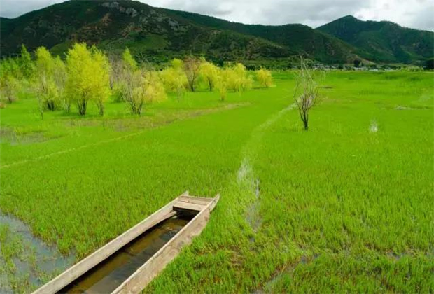 云南會展策劃：關(guān)于瀘沽湖的好風(fēng)景，都想與你分享！