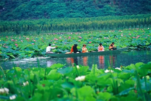2022普者黑夏令營：山水田園，萬畝荷花游學，探訪彝族古村，感知民族文化！