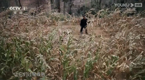趣說人文歷史｜康乾盛世，“番薯盛世”？