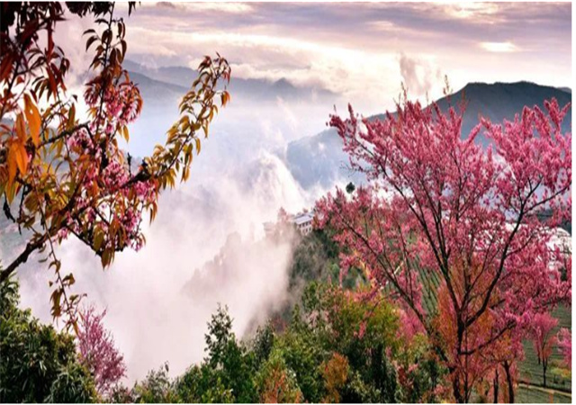 【聚焦旅交會 相約游大理】來南澗，在彝鄉(xiāng)體驗自然之謎與民族之美