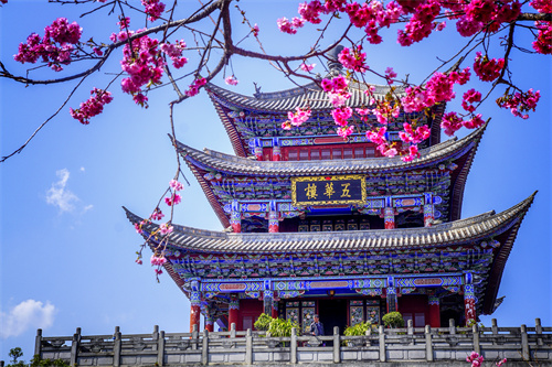 疫情過后，給自己來一場放縱的旅行...麗江的夏天愿你更美！