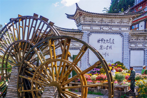 云南麗江老君山，實(shí)在太美了，遠(yuǎn)赴麗江驚鴻宴美哉！
