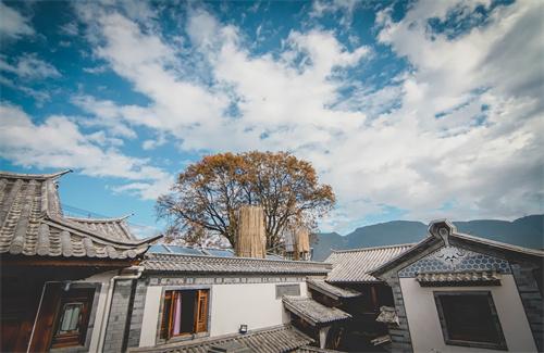 春節(jié)云南特輯 | 人少景美！春節(jié)云南旅游線路推薦三