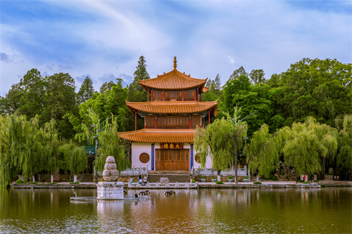春暖四時(shí)，花開昆明，感受春城初春之美！