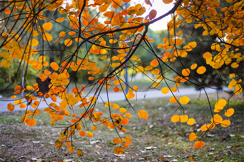 云南文創(chuàng)雪糕火出圈，“雪糕+景點(diǎn)”網(wǎng)紅式打卡驚靚一夏！