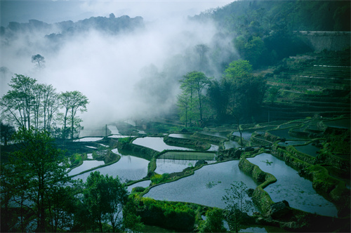 鄉(xiāng)村健康養(yǎng)生產(chǎn)業(yè)的客戶群體有哪些？它有什么開(kāi)發(fā)要點(diǎn)？