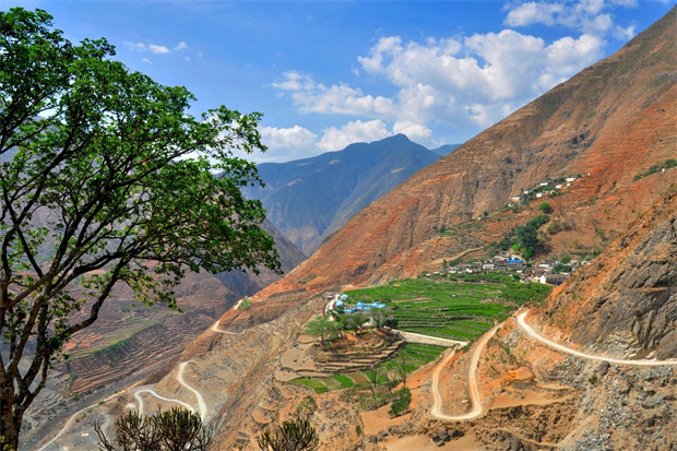 云南旅游,云南旅行社,云南團建公司,云南會議公司,大理旅游,大理旅行社,大理團建公司,大理會議公司：云南第一棵咖啡樹，在哪？